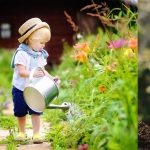 gardening
