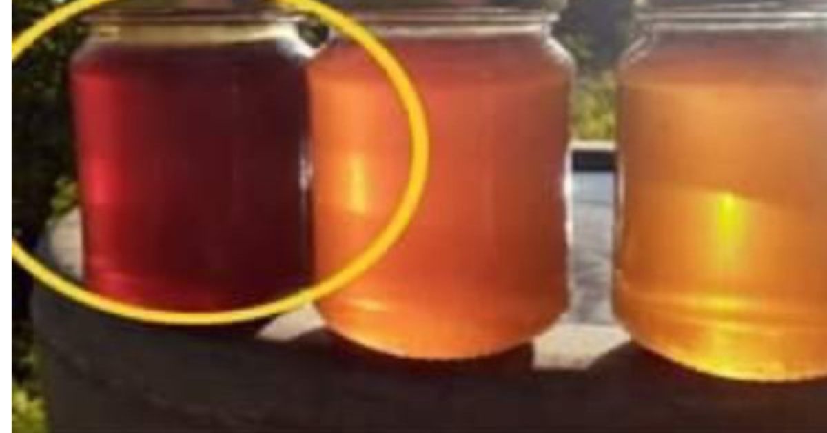 Cellular Energy Production