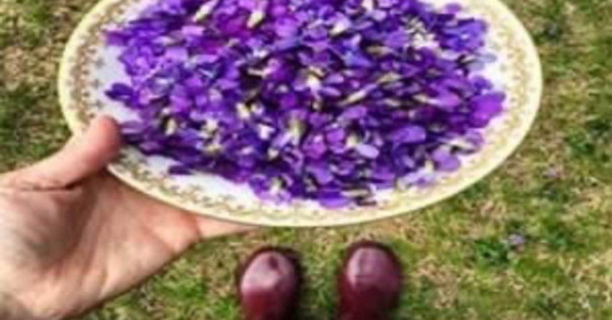 Key Natural Ingredients and Their Functions