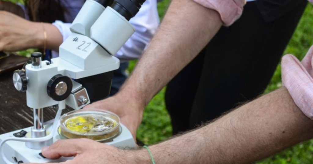 Apply the Pomodoro Technique to maintain focus