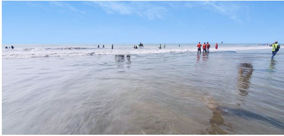 Top Coastal Attractions