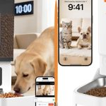 automatic dog feeder for large dogs