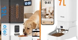automatic dog feeder for large dogs