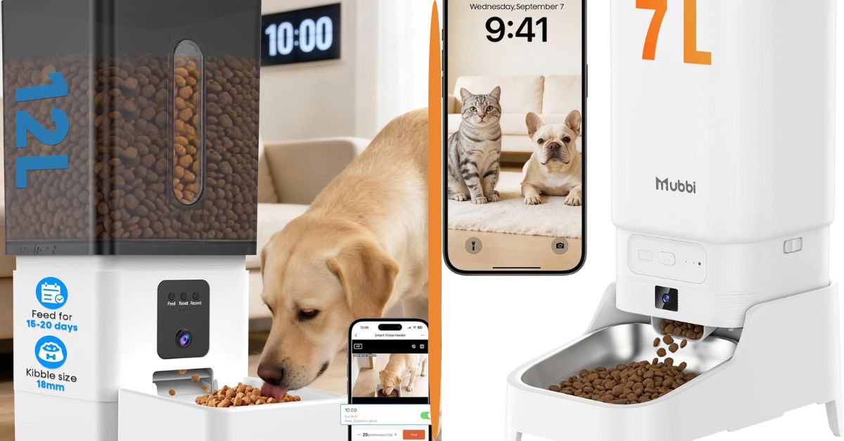 automatic dog feeder for large dogs